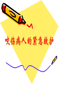咬伤病人的急救与护理