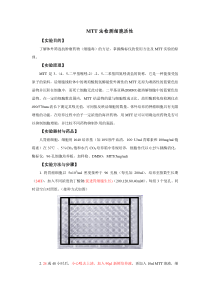 MTT法检测细胞活性