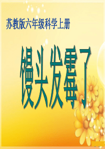 (苏教版)六年级科学上册课件-馒头发霉了-1