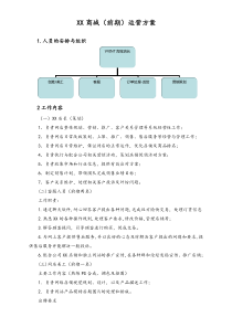 XXX商城最新高级运营方案