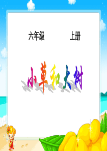 冀教版小学科学六年级上册《小草和大树》课件