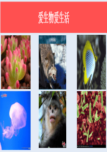 初中生物开学第一课课件