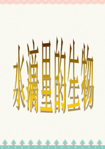 苏教版六年级科学上册-《水滴里的生物》教学课件