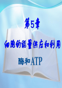 一轮复习酶与ATP