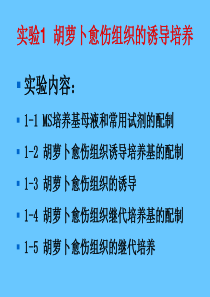 实验--MS培养基母液和常用试剂的配制