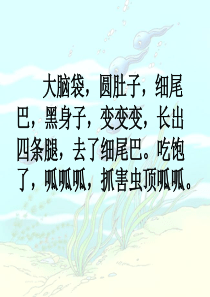 34、小蝌蚪找妈妈ppt课件