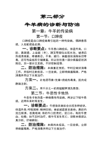 牛羊病的防治模板