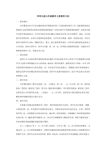 华师大版九年级数学上册教学计划
