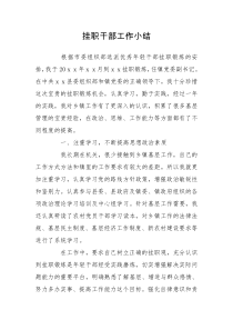 挂职干部工作小结