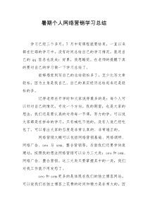 暑期个人网络营销学习总结