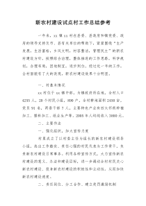新农村建设试点村工作总结参考