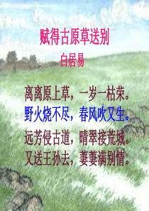 五年级科学上册第1课小苗的诞生课件1冀教版