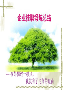 企业挂职锻炼汇报