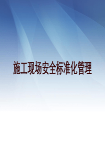 安全标准化管理手册