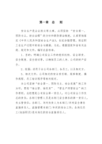 安全生产标准化管理手册(全套)