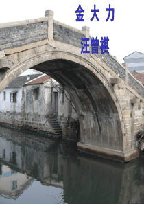 《金大力》ppt课件