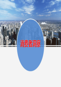 消费者洞察