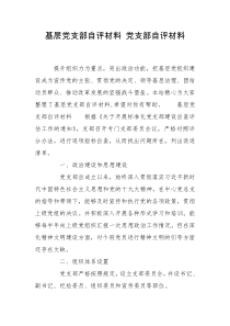 基层党支部自评材料 党支部自评材料