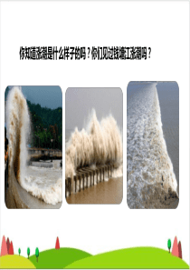 《观潮》ppt优秀课件