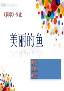 科学课：美丽的鱼