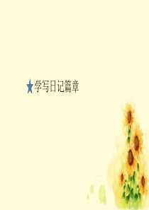 写日记