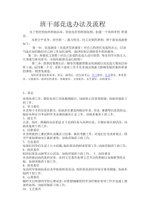 班干部竞选办法及流程