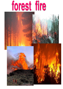 新概念二册53课课件(共38张PPT)