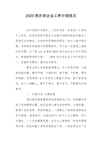 2020民办非企业工作计划范文