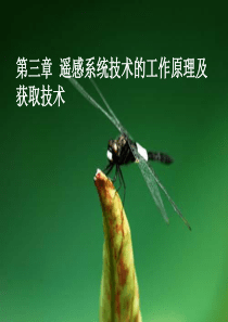 第三章遥感技术