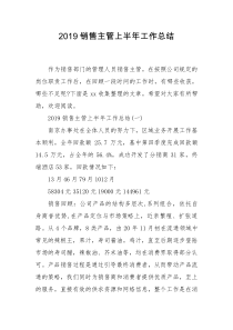 2019销售主管上半年工作总结