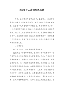 2020个人政治思想总结