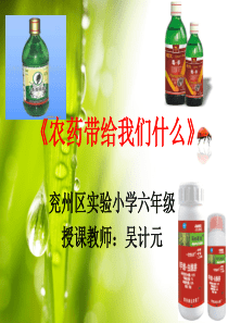 《农药带给我们什么》