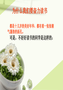 主题班会-为什么我们要努力读书