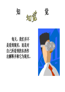 组织行为学(5章知觉与行为)