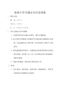 小学各种安全应急预案