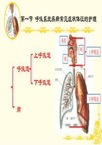 01第一节-呼吸系统疾病常见症状体征的护理