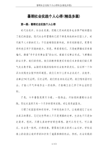 暑期社会实践个人心得体会(精选多篇)