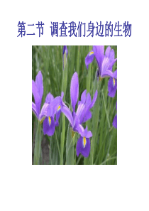 七年级生物调查我们身边的生物