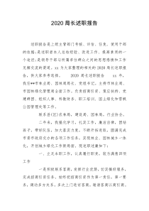 2020局长述职报告