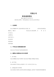 财务报表及附注模板
