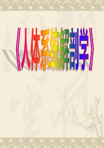 人体解剖学课件全套