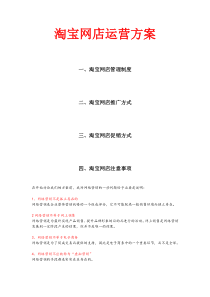 淘宝运营方案B