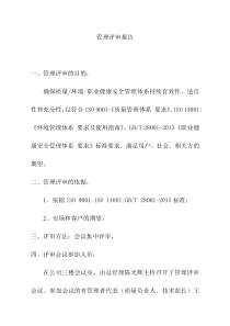公司管理评审报告