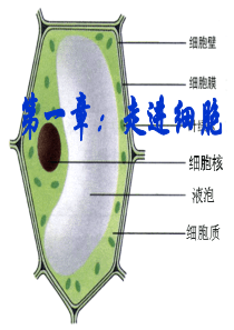 人教版高中生物必修一走进细胞