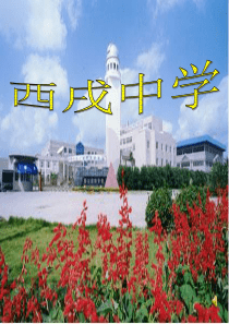 哺乳类课件