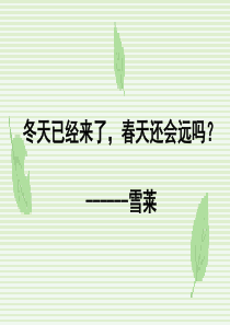 《春》公开课