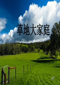 草地大家庭