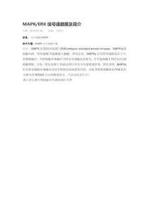 MAPK-ERK信号通路图及简介