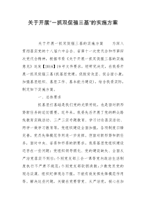 关于开展“一抓双促强三基”的实施方案