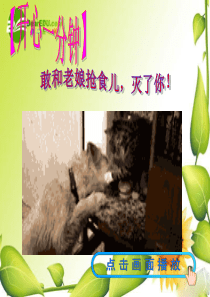 八年级物理第一章第四节测量平均速度课件(最新修改)